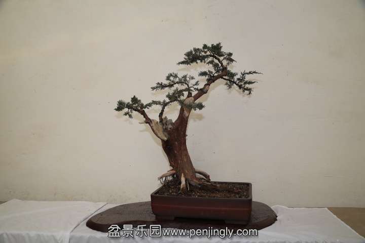 IMG_1605.JPG