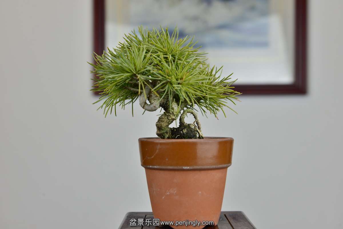 _DSC9093.JPG