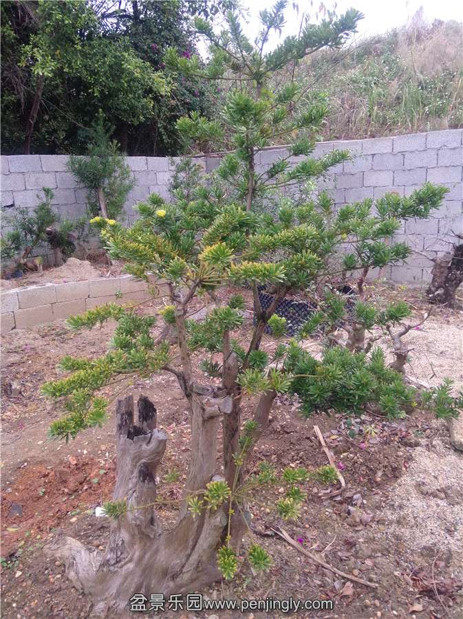 IMG20150201122226.jpg