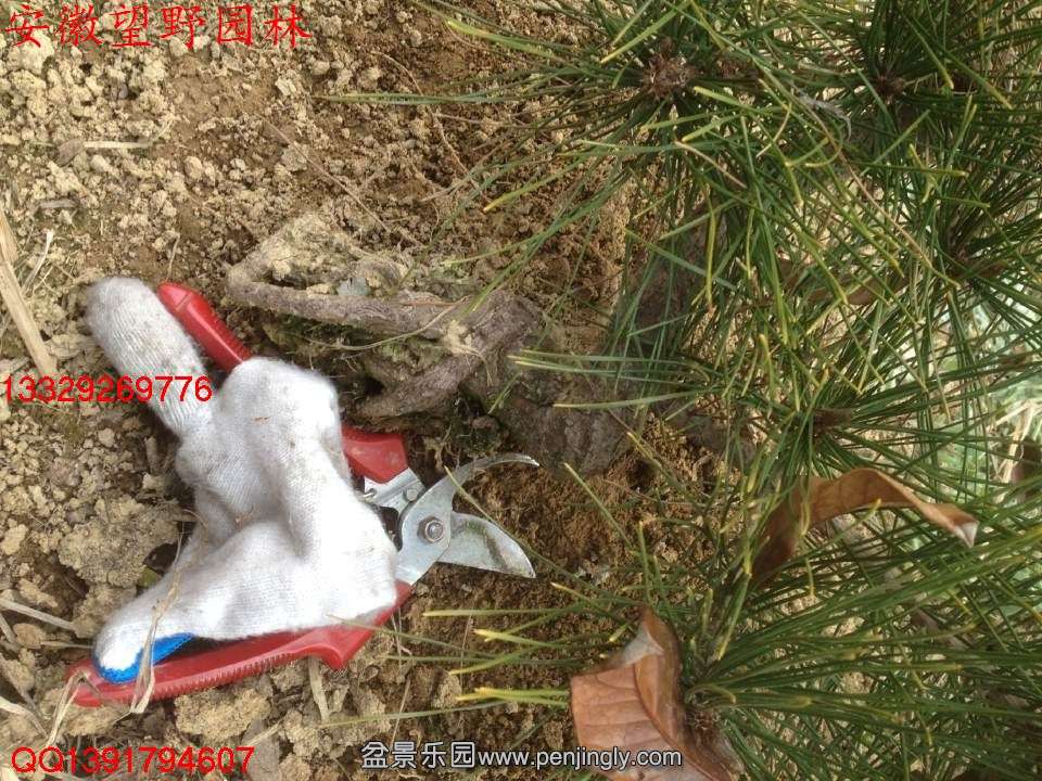 73C5B47168E602853254C5C0FA834B0A.jpg