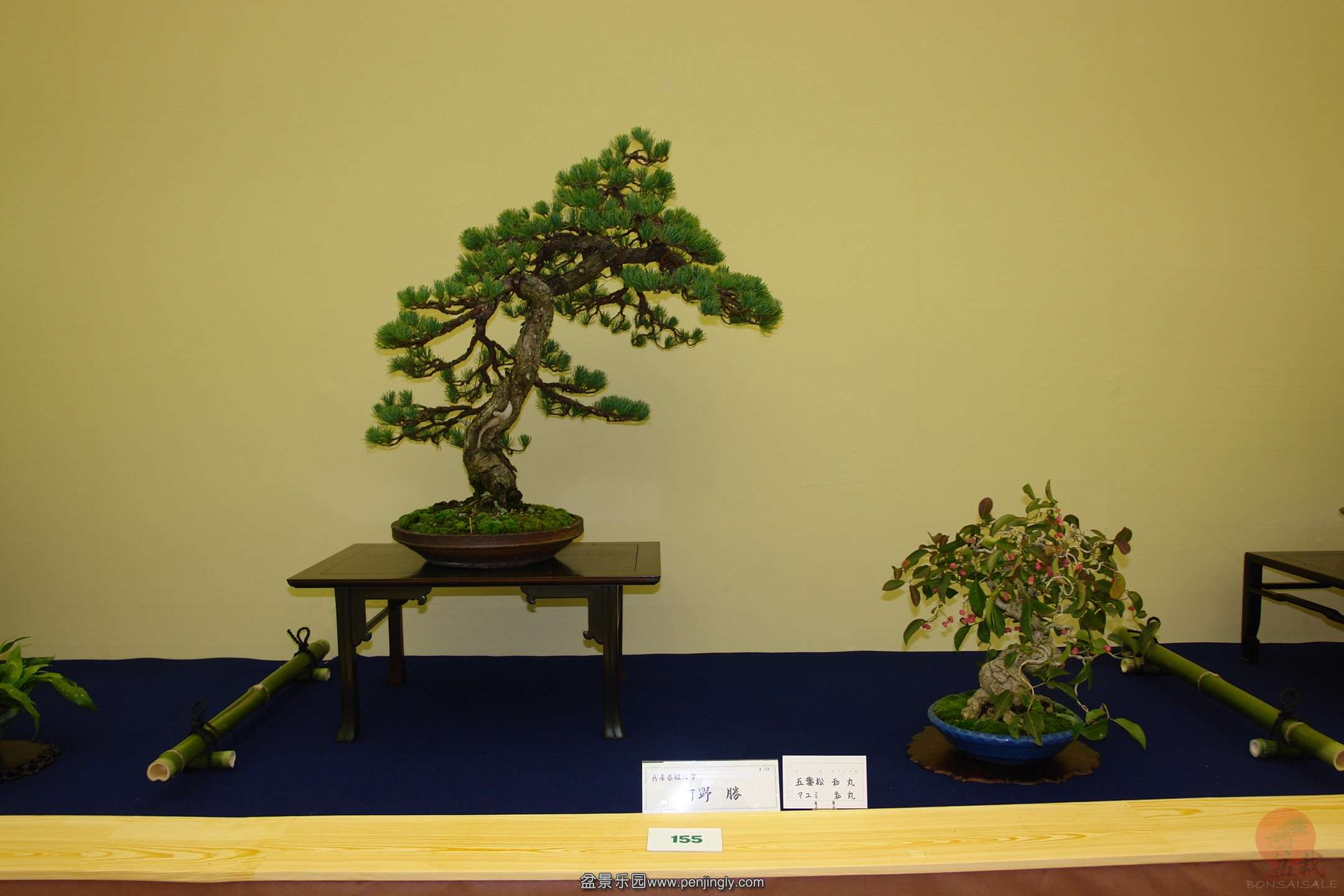 DSC06513.JPG_Thumbnail0.jpg