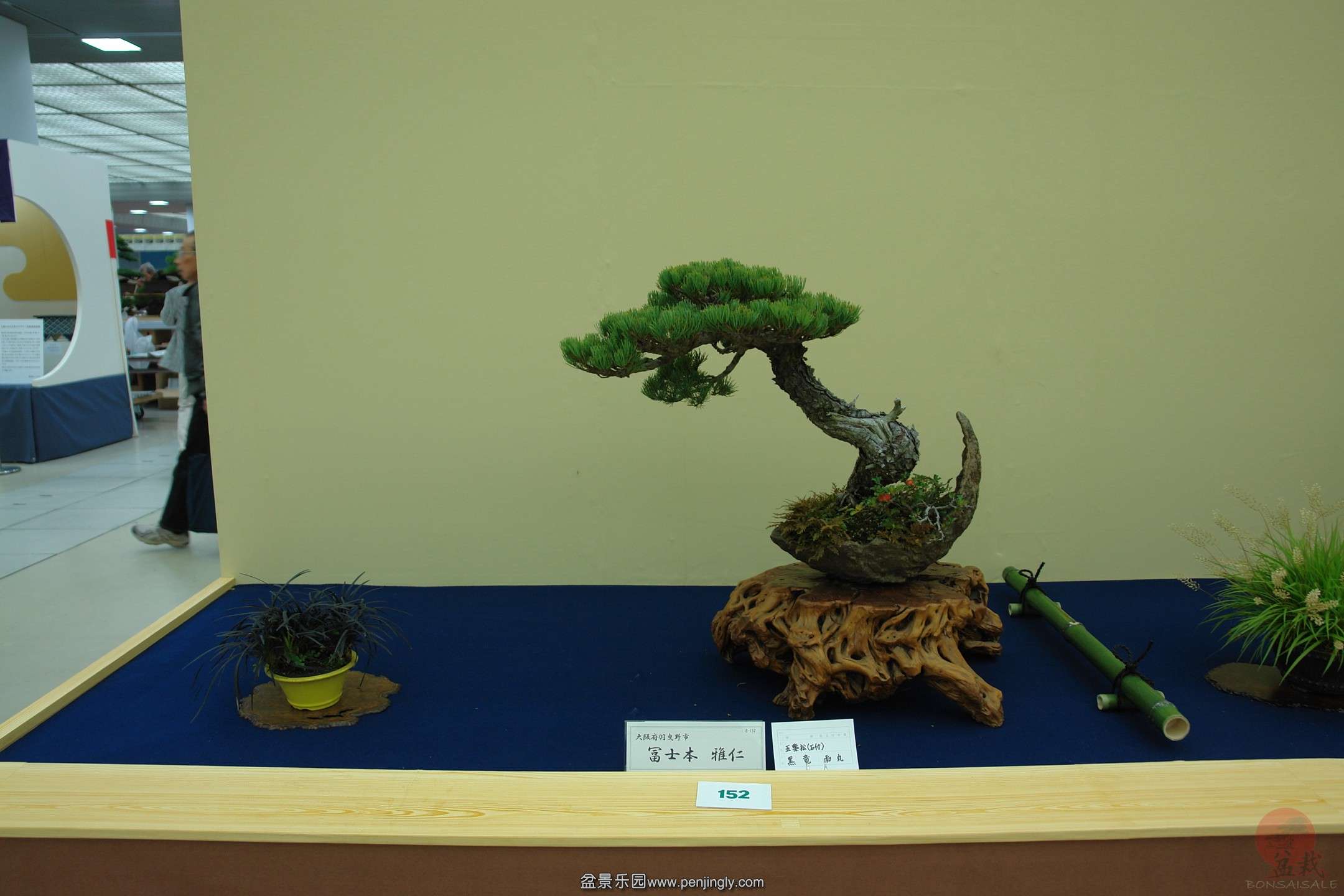 DSC06519.JPG_Thumbnail0.jpg