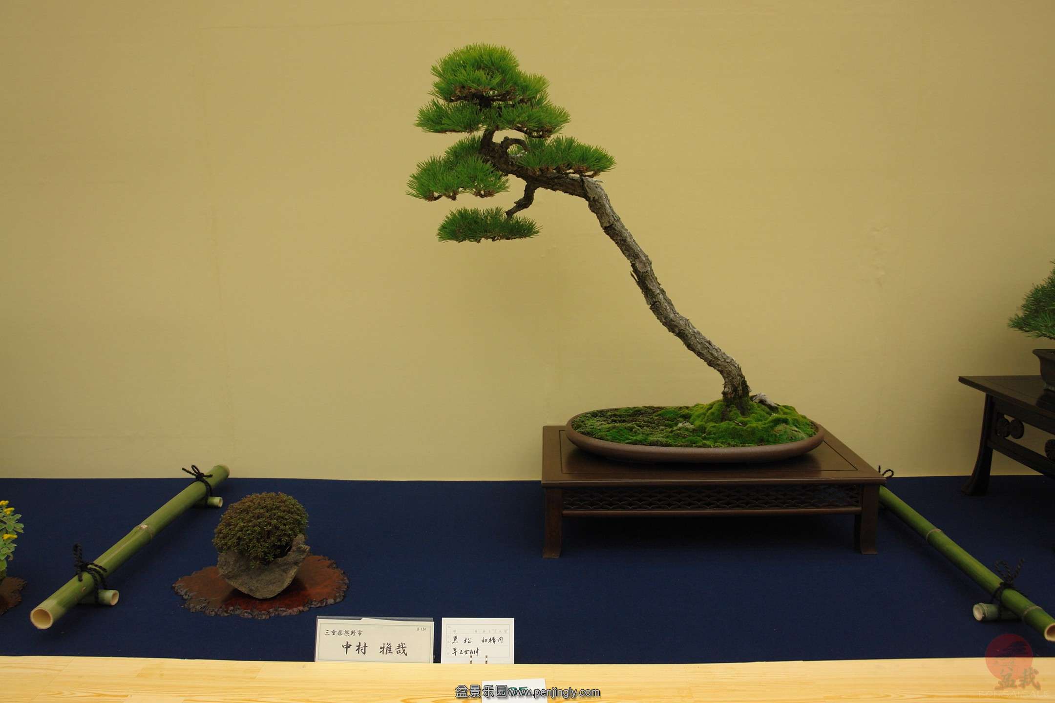 DSC06647.JPG_Thumbnail0.jpg
