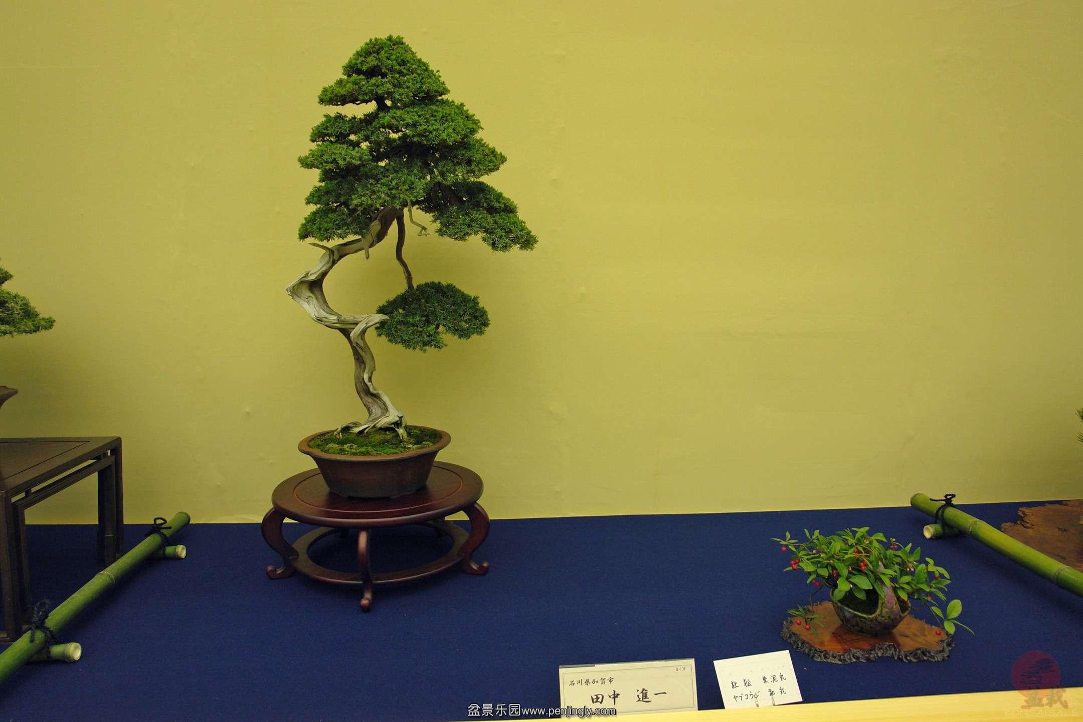 DSC06667.JPG_Thumbnail0.jpg