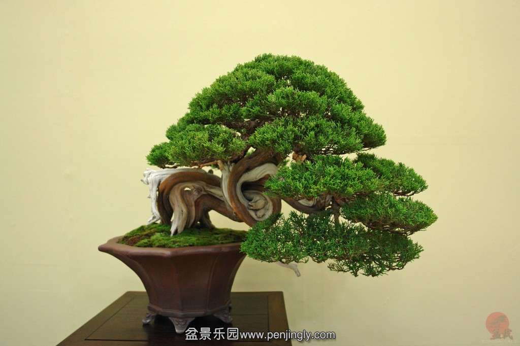 conew_dsc06541.jpg_thumbnail0.jpg