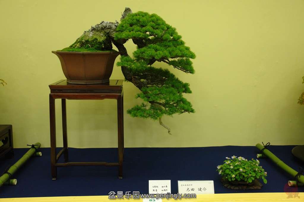conew_dsc06622.jpg_thumbnail0.jpg
