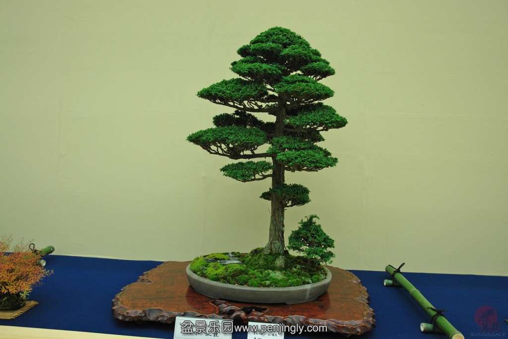 conew_dsc06644.jpg_thumbnail0.jpg