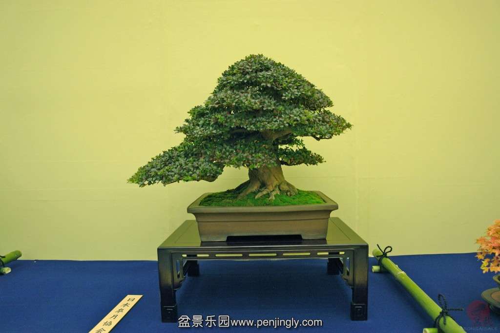 conew_dsc06673.jpg_thumbnail0.jpg