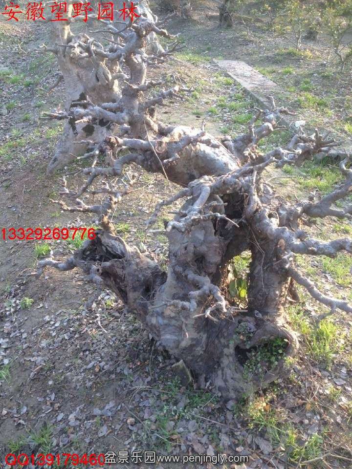 D4BB5F50D988843CA8FC42CAA2AA6BA2.jpg