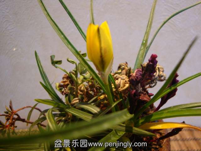 DSC00175.JPG