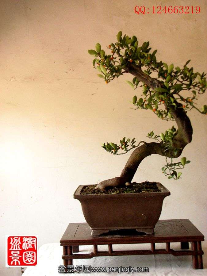 IMG_1092__.jpg