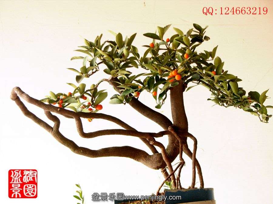 IMG_1119_副本_副本.jpg