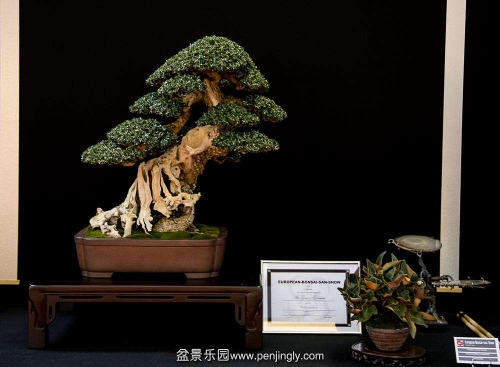 image (9).jpg