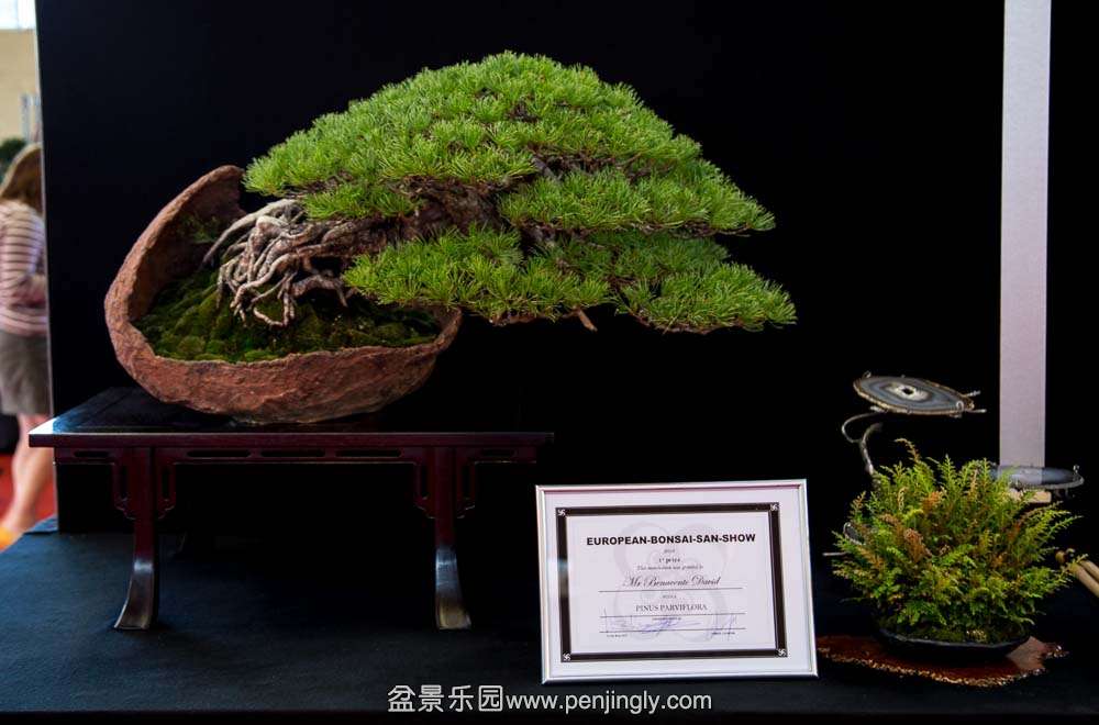 image (14).jpg