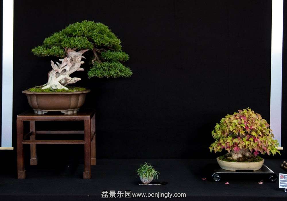 image (19).jpg