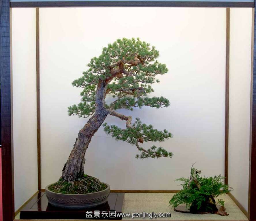 image (42).jpg