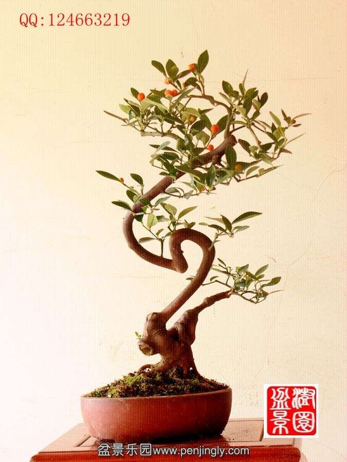 IMG_1171__.jpg