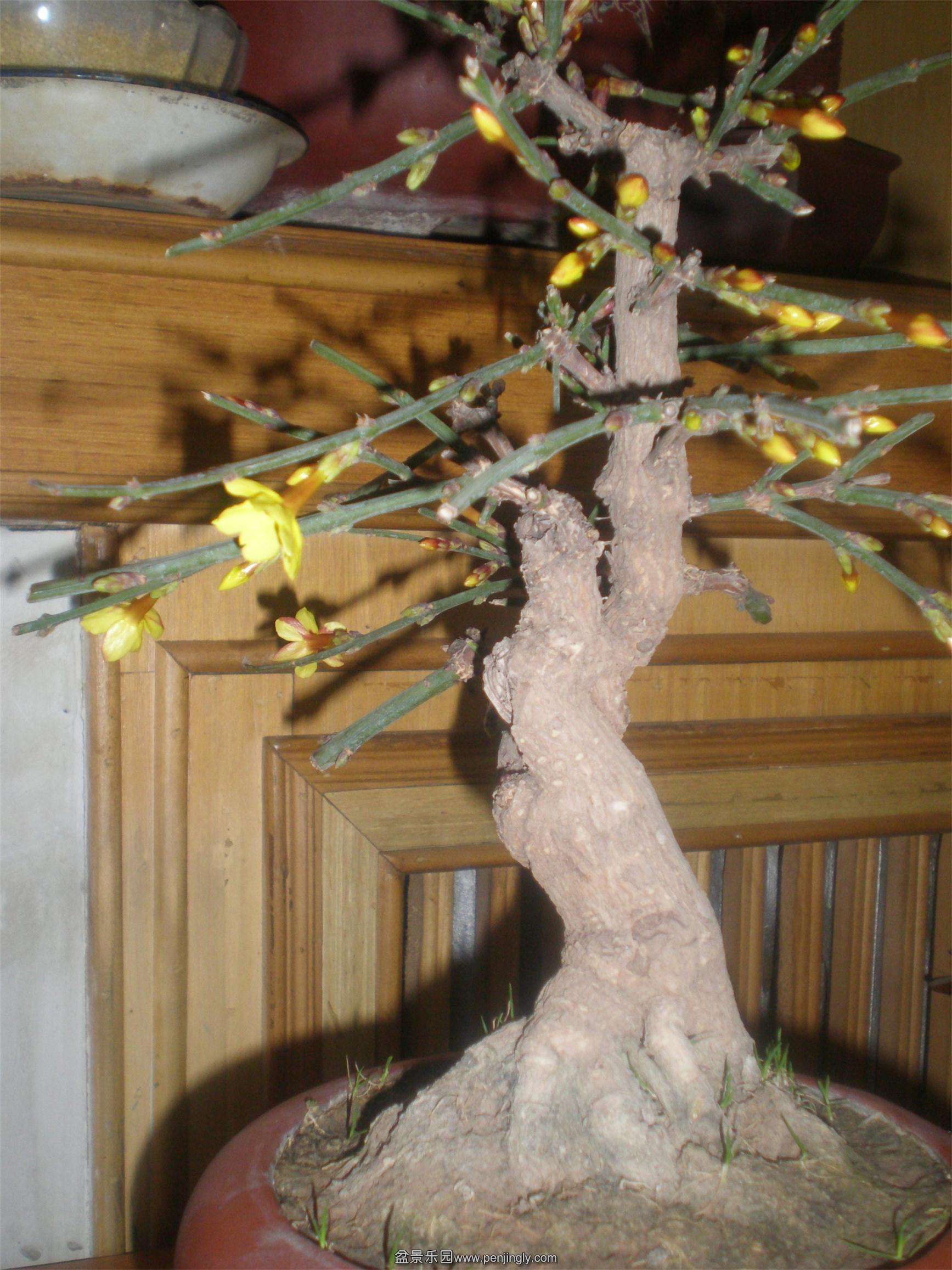 P2140244_ͼ.jpg