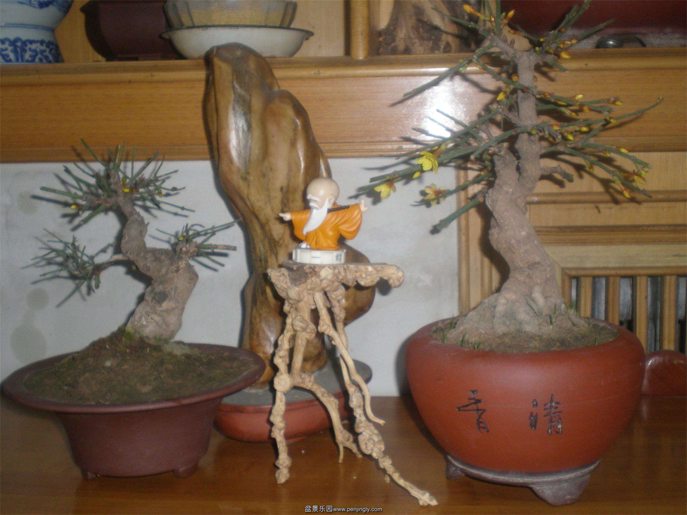 P2140246_ͼ.jpg