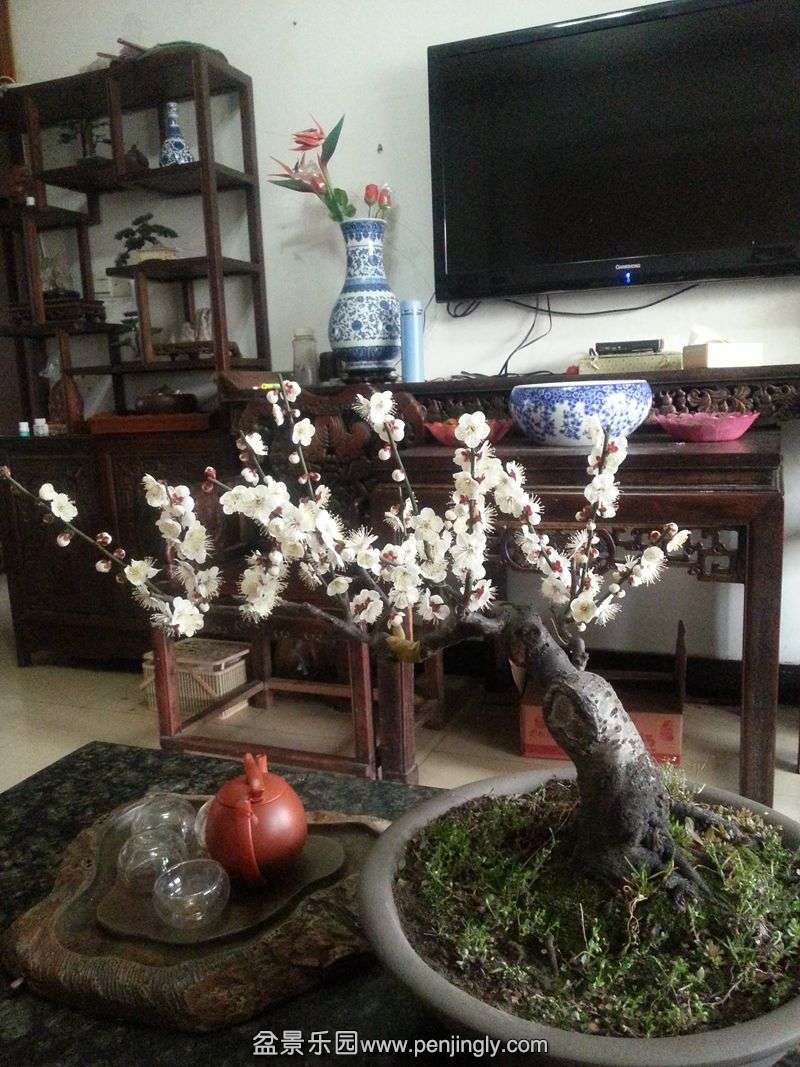 20150213_164601.jpg