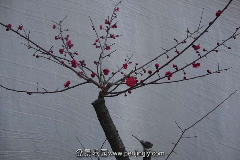 DSC03087_.jpg