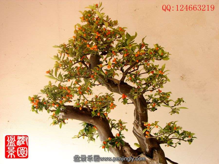 IMG_1195__.jpg