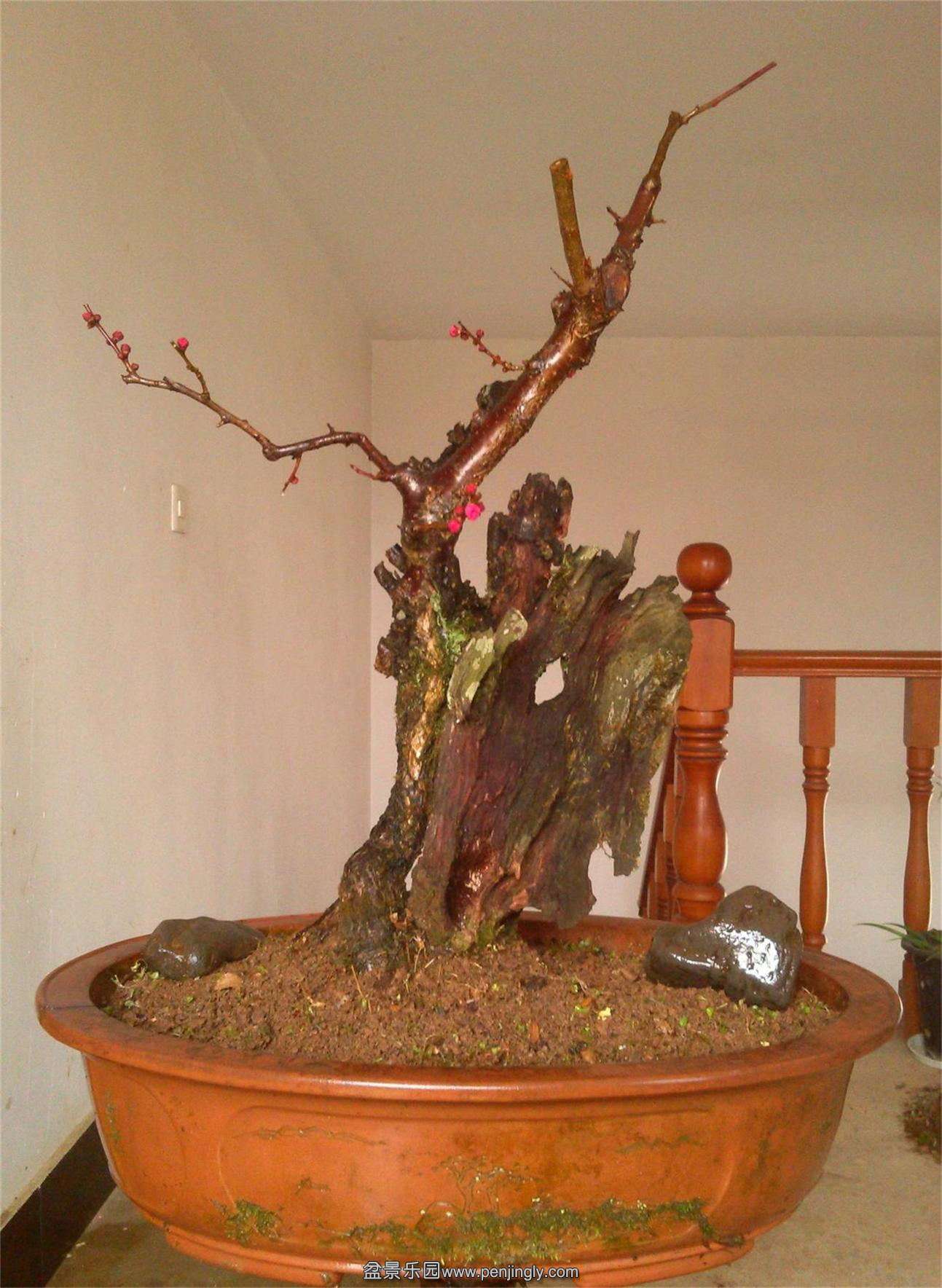 ÷׮13IMG_20150216_141859_2345ͼ_ͼ.jpg