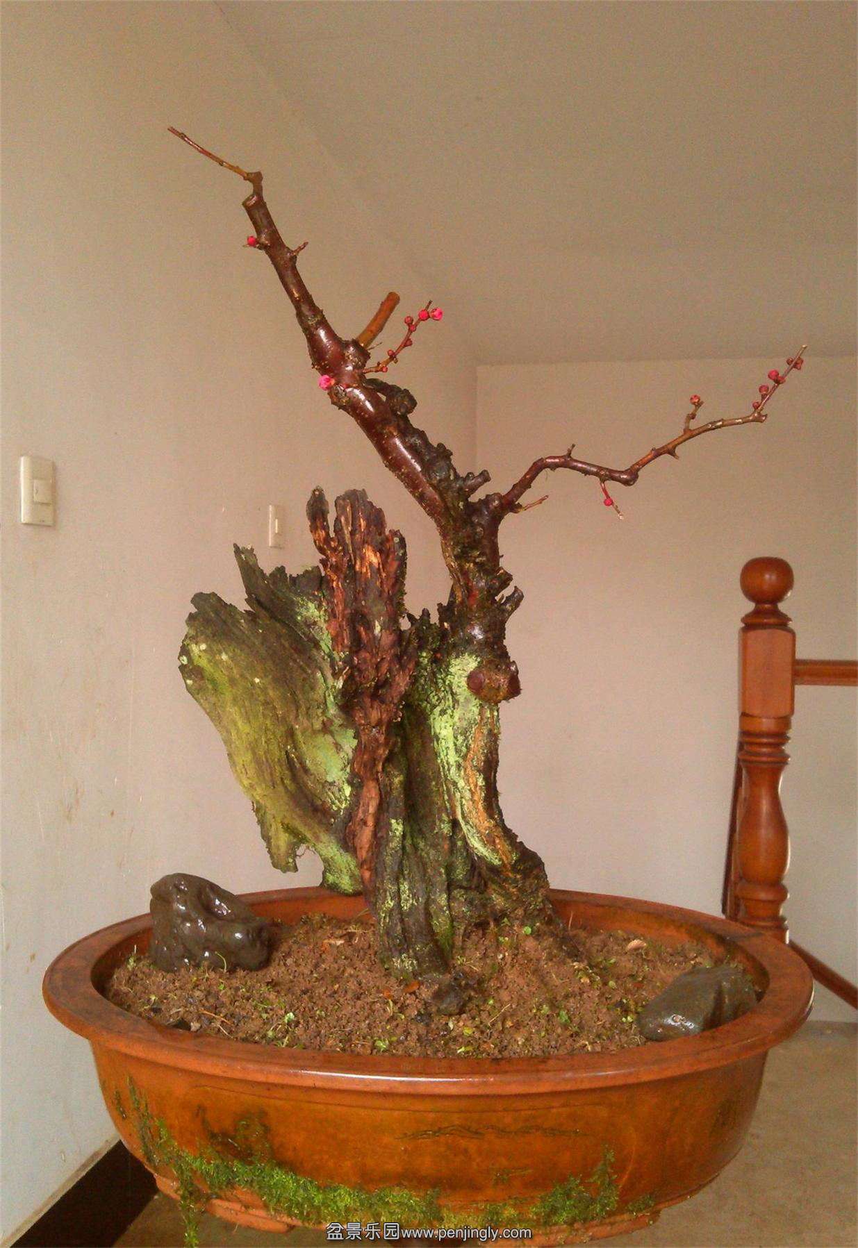÷׮14IMG_20150216_141918_2345ͼ_ͼ.jpg