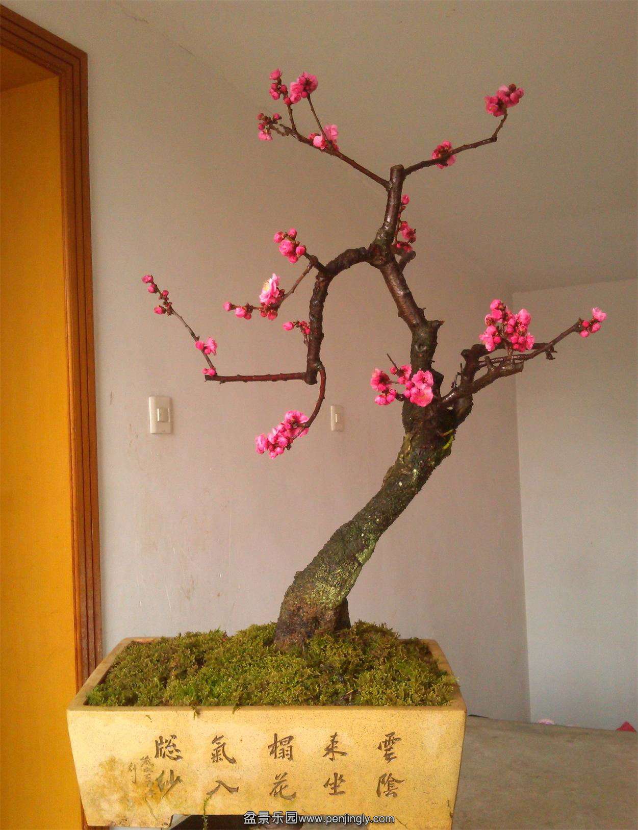 ÷׮72IMG_20150216_140431_2345ͼ_ͼ.jpg