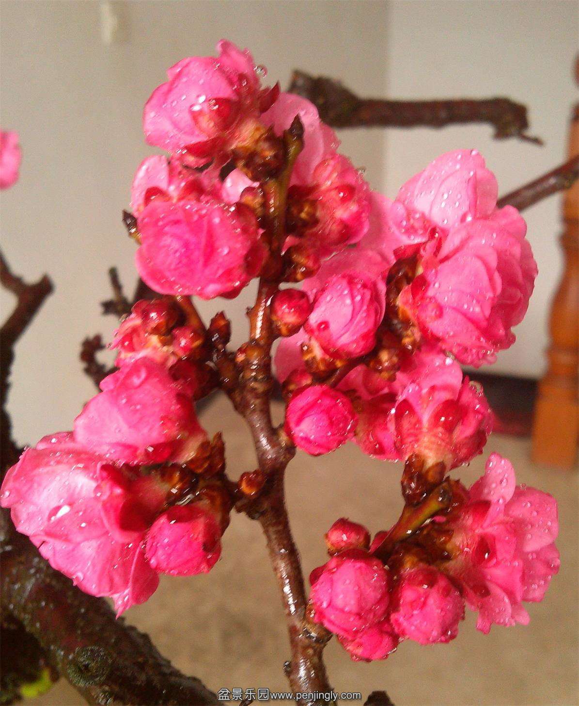 ÷׮76IMG_20150216_140441_2345ͼ_ͼ.jpg