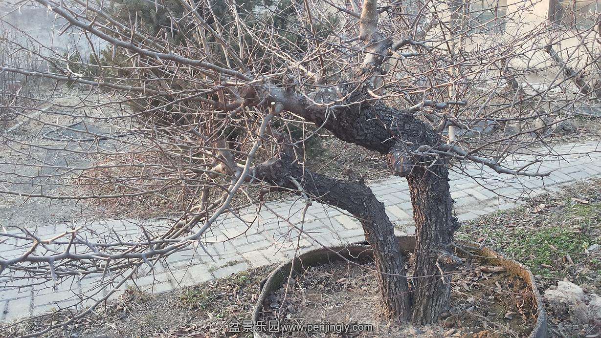 20150210_170258.jpg