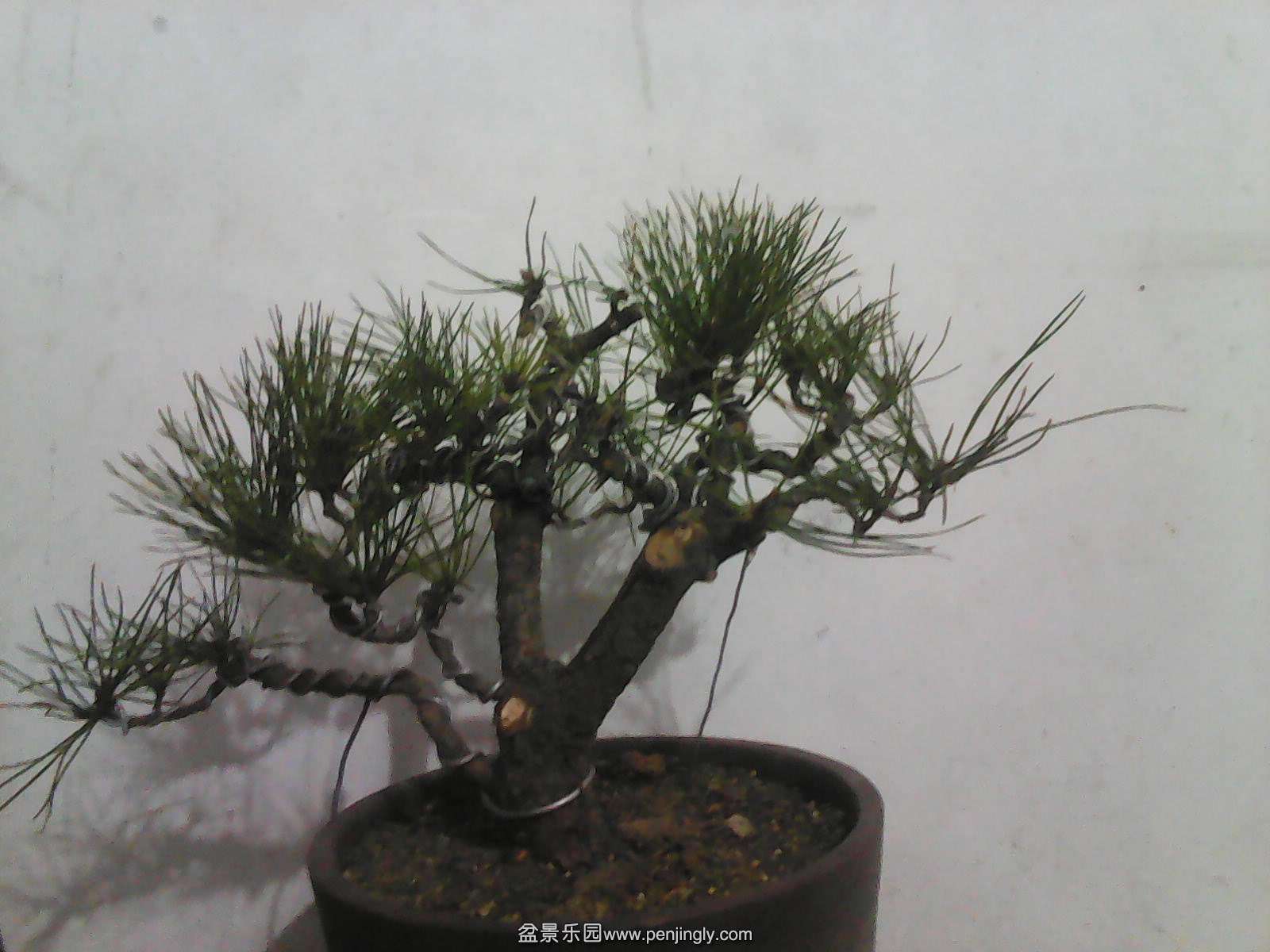 IMG_20150217_182700.jpg