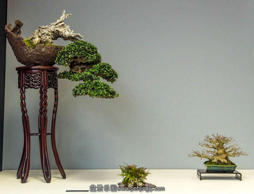 image (8).jpg