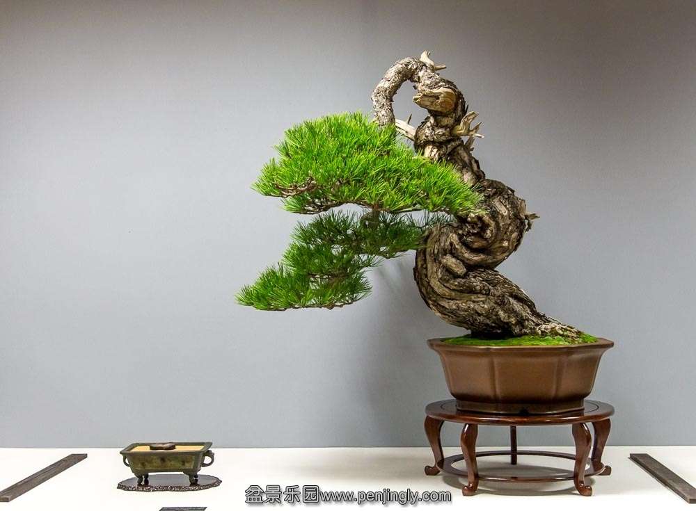 image (19).jpg