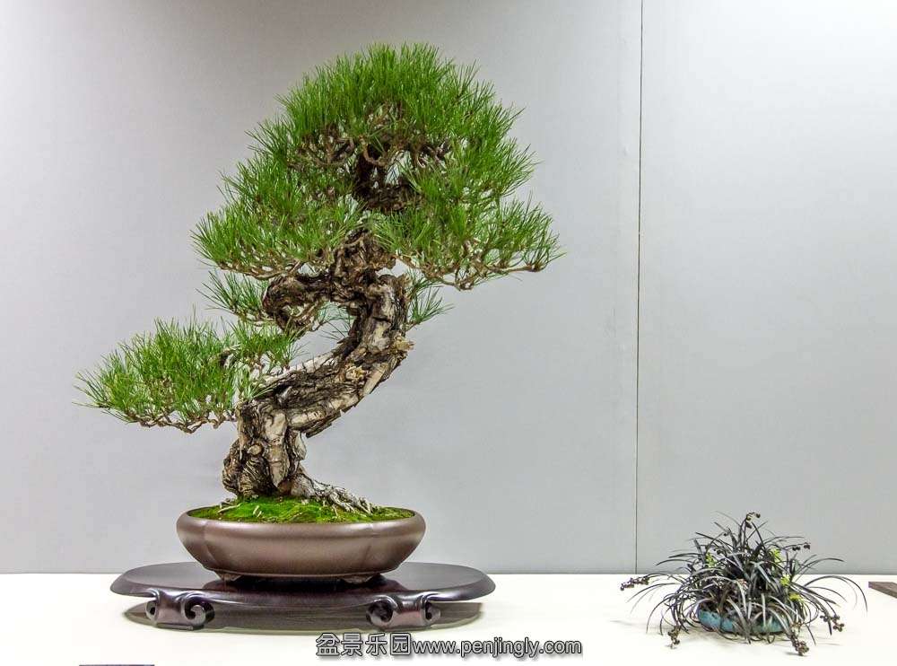 image (30).jpg