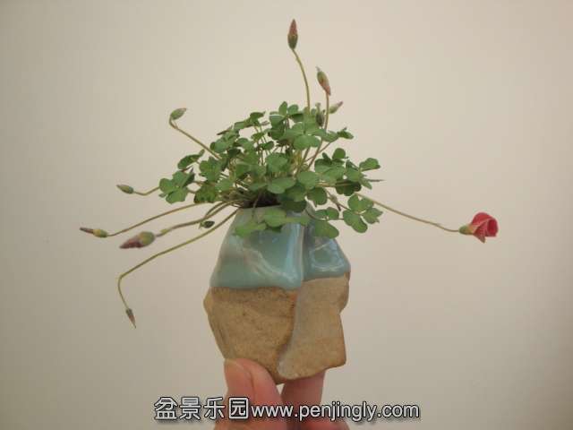DSC00227.JPG