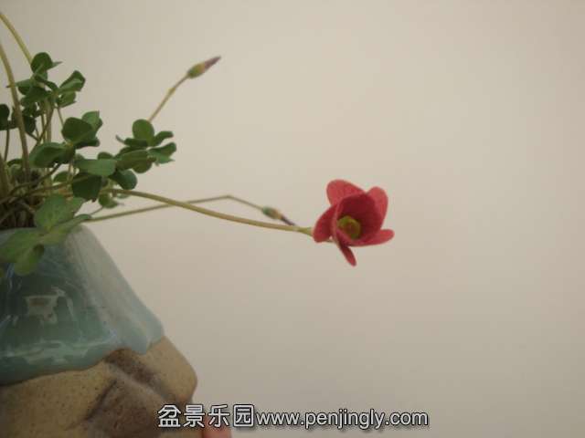 DSC00228.JPG