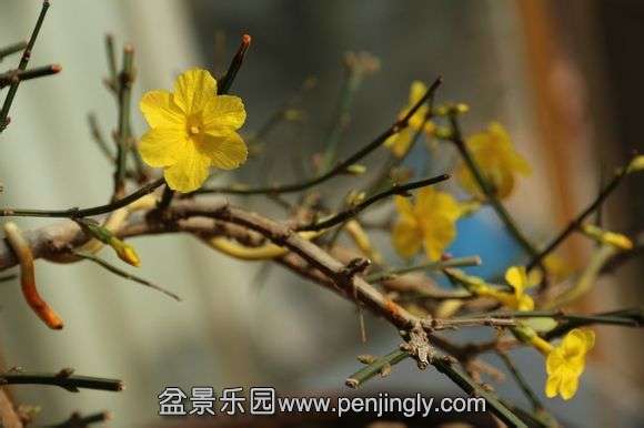 cdd9f600baa1cd11831e323dbd12c8fcc3ce2d0c.jpg