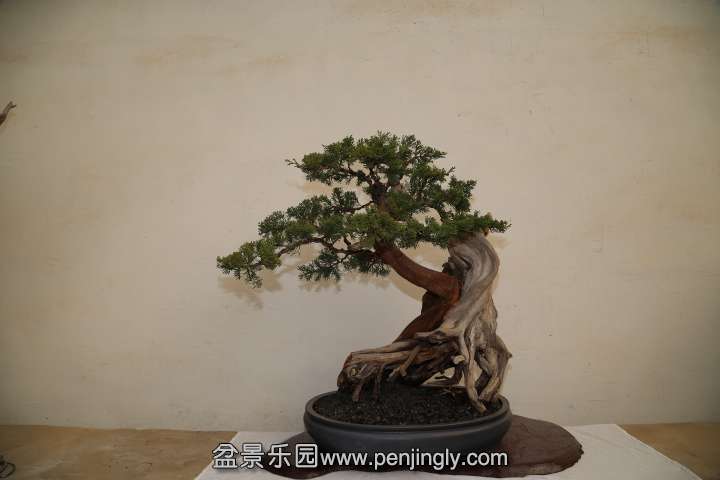 IMG_1647.JPG