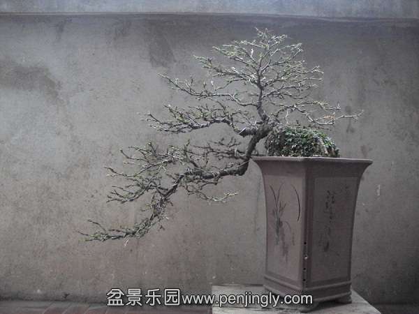 DSC04270.JPG