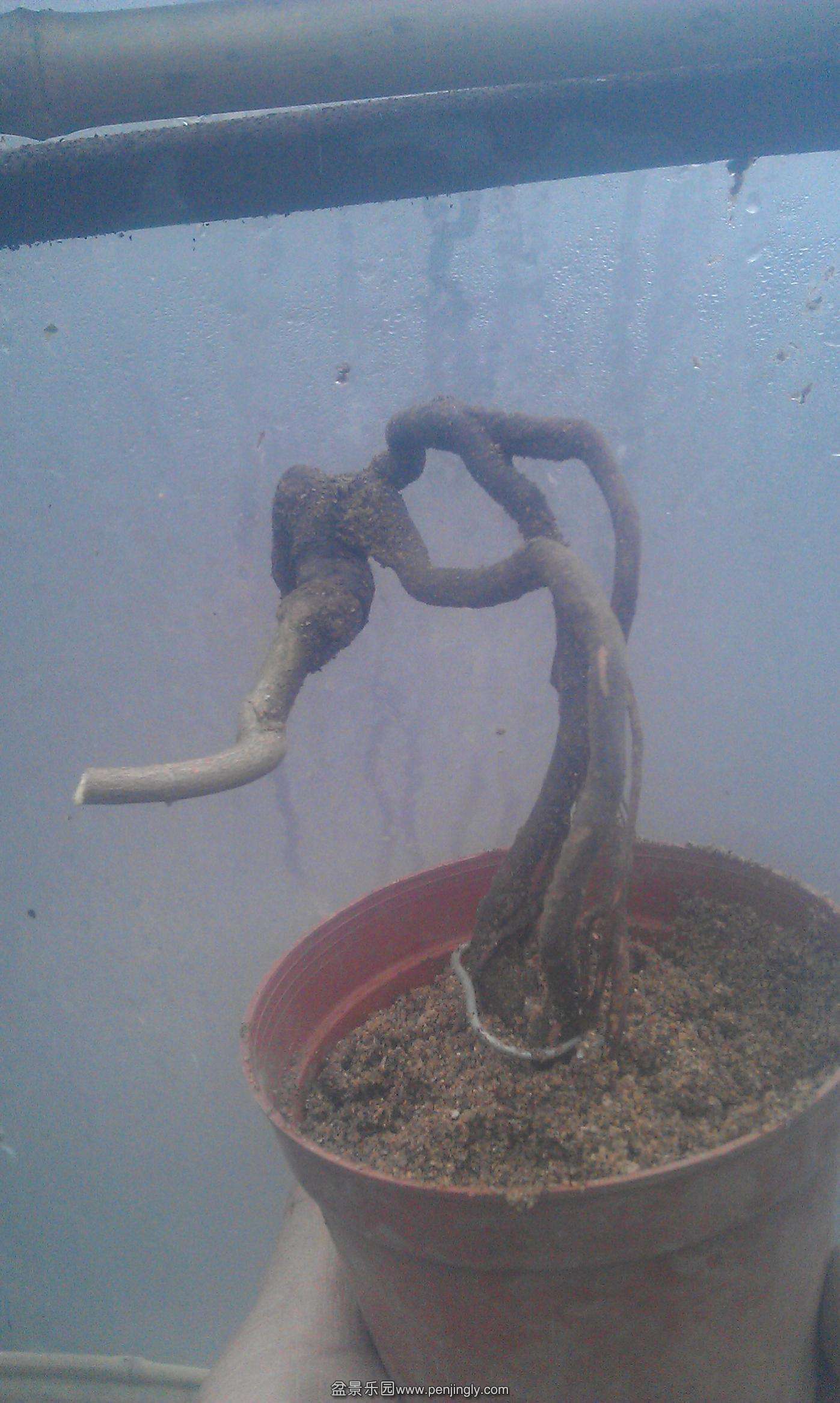 IMAG2436.jpg