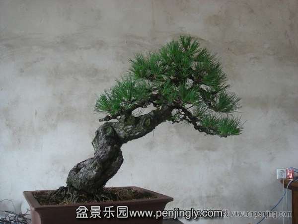 220508qxpx50dh2z2pz828.jpg.thumb.jpg