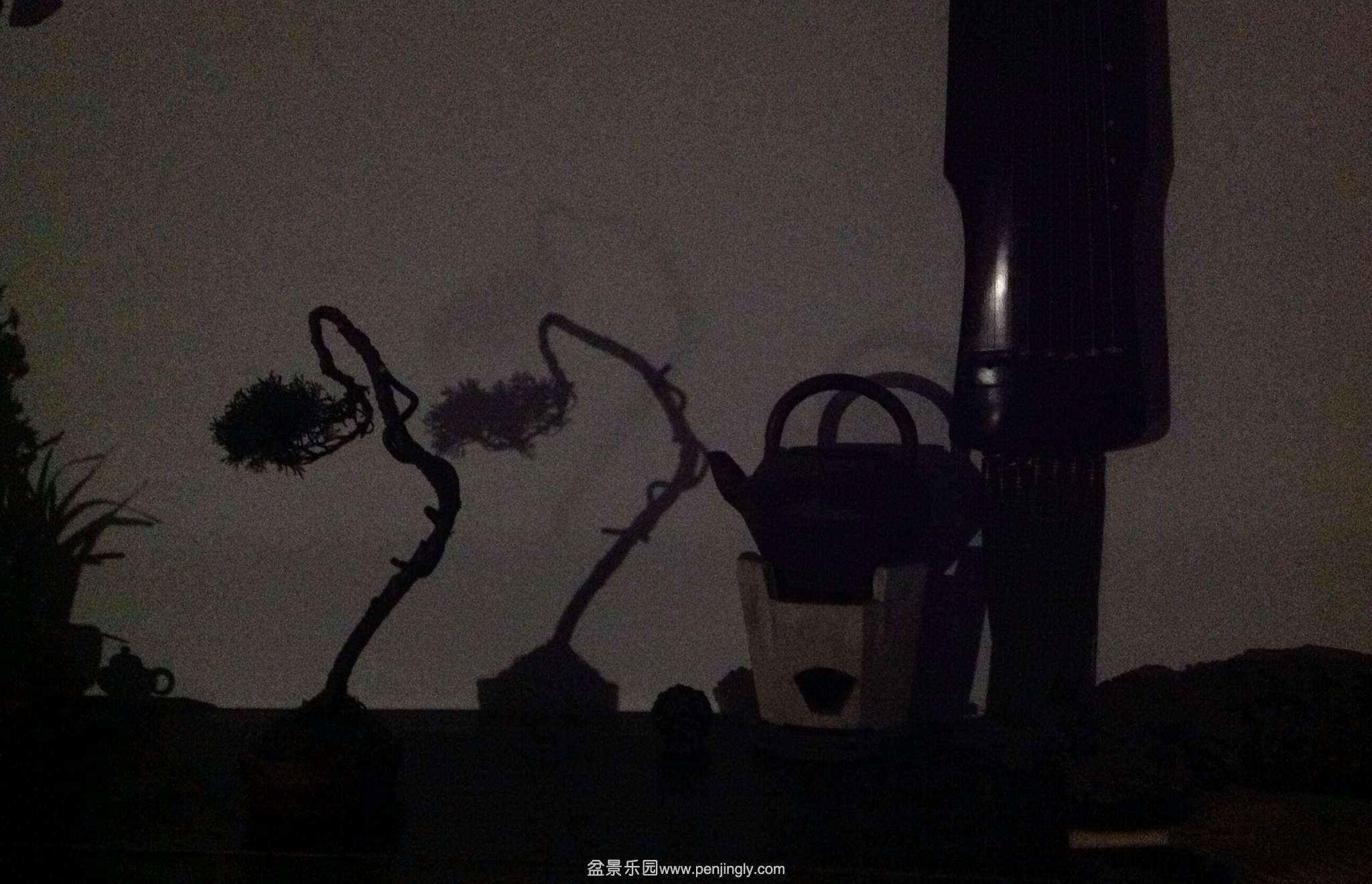 image.jpg