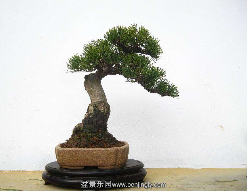 IMG_.01118..JPG