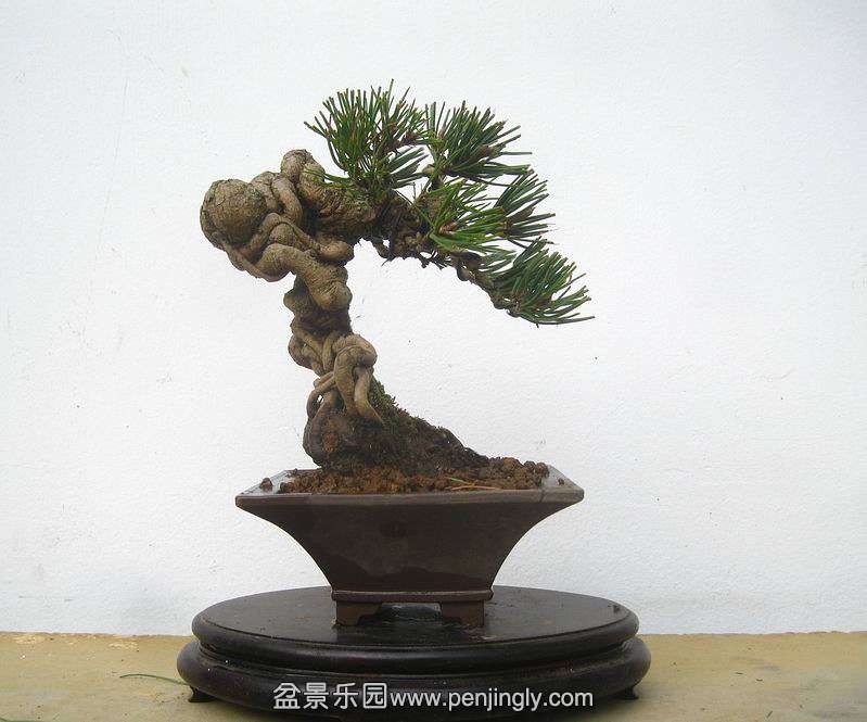 IMG_.0121.JPG