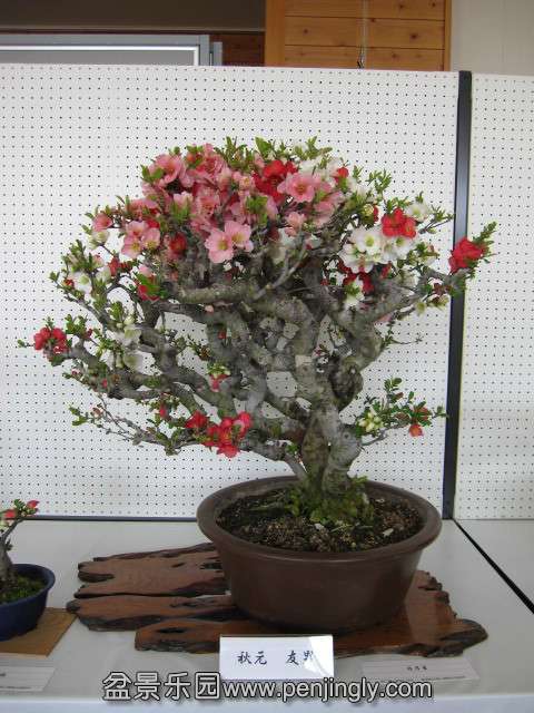psb (17).jpg