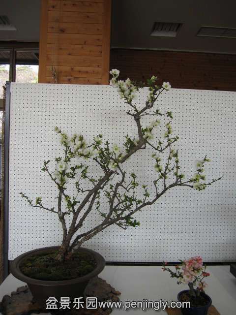 psb (23).jpg