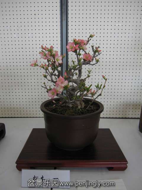 psb (28).jpg