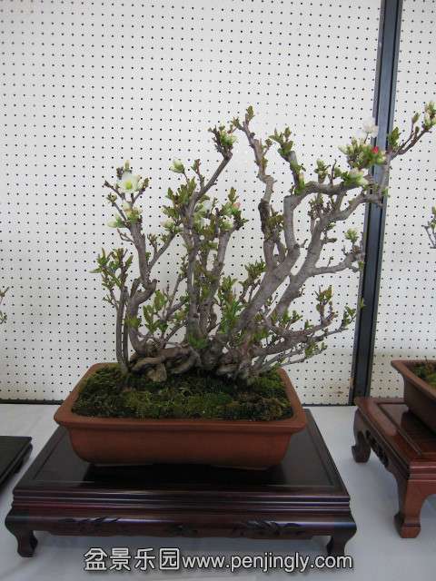 psb (32).jpg