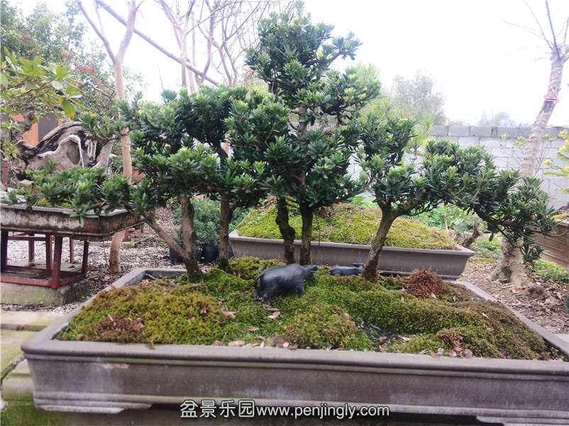 IMG20150215131410.jpg